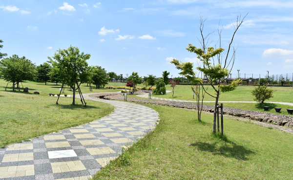 綾瀬スポーツ公園