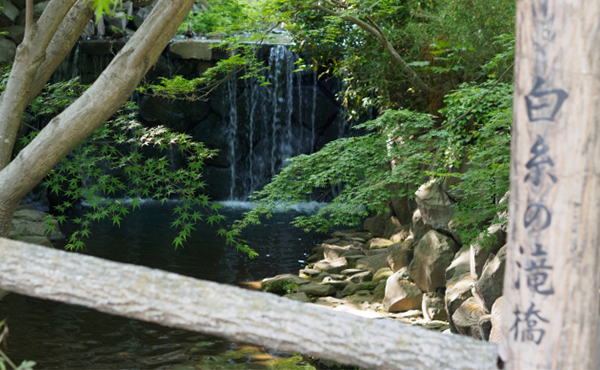 白根公園の白糸の滝