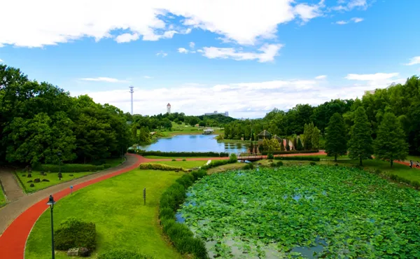 あいち健康の森公園