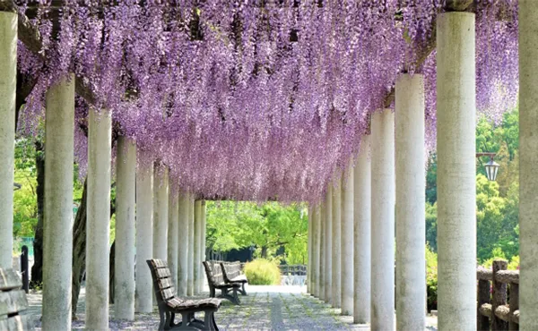 城山公園