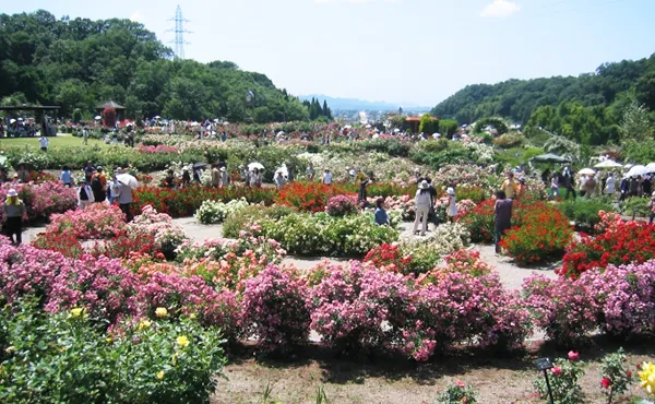 花フェスタ記念公園