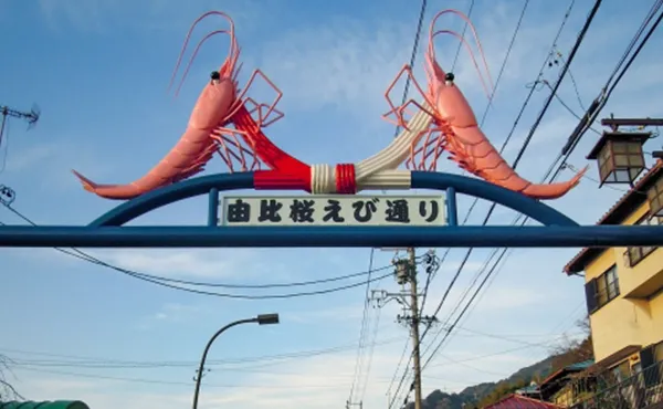 由比桜えび通り