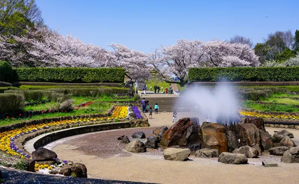 神奈川県立四季の森公園