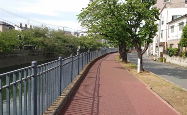 大岡川沿いの歩道