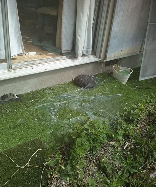 窓ガラスが割れて飛散